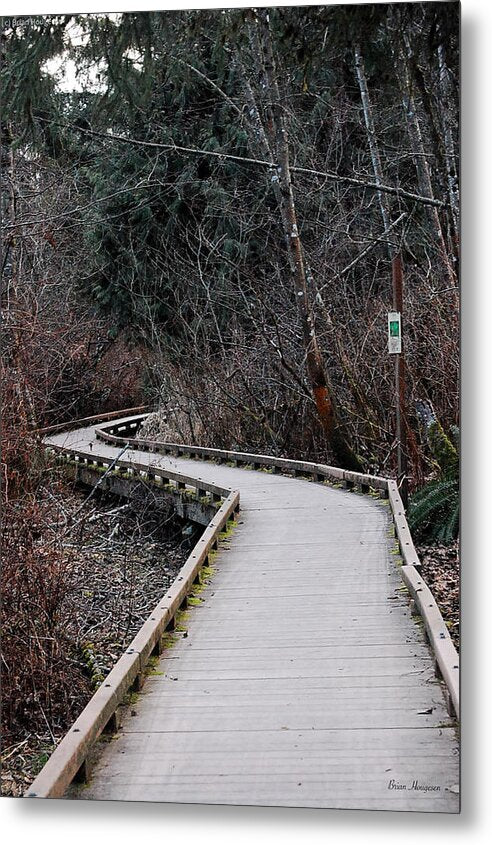 Trail - Metal Print