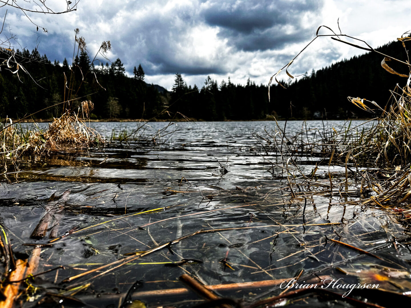 A body of water with trees and grass in the background.