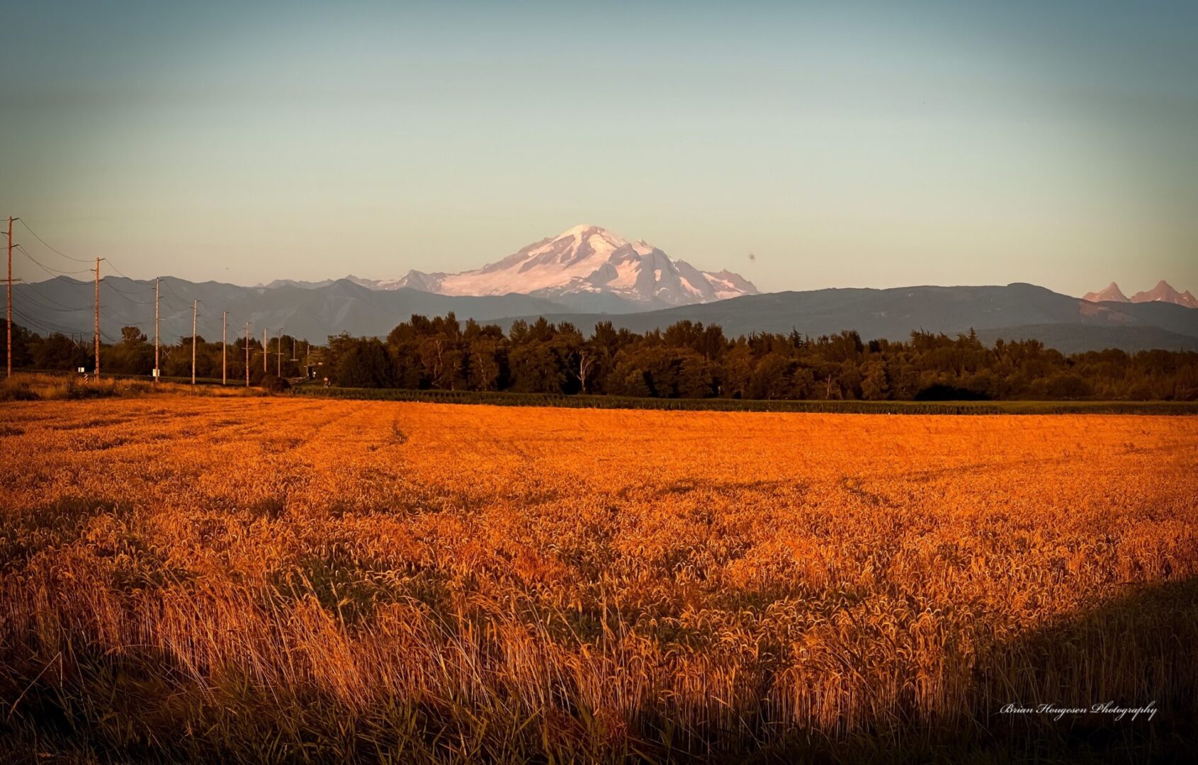 A field with a mountain in the background