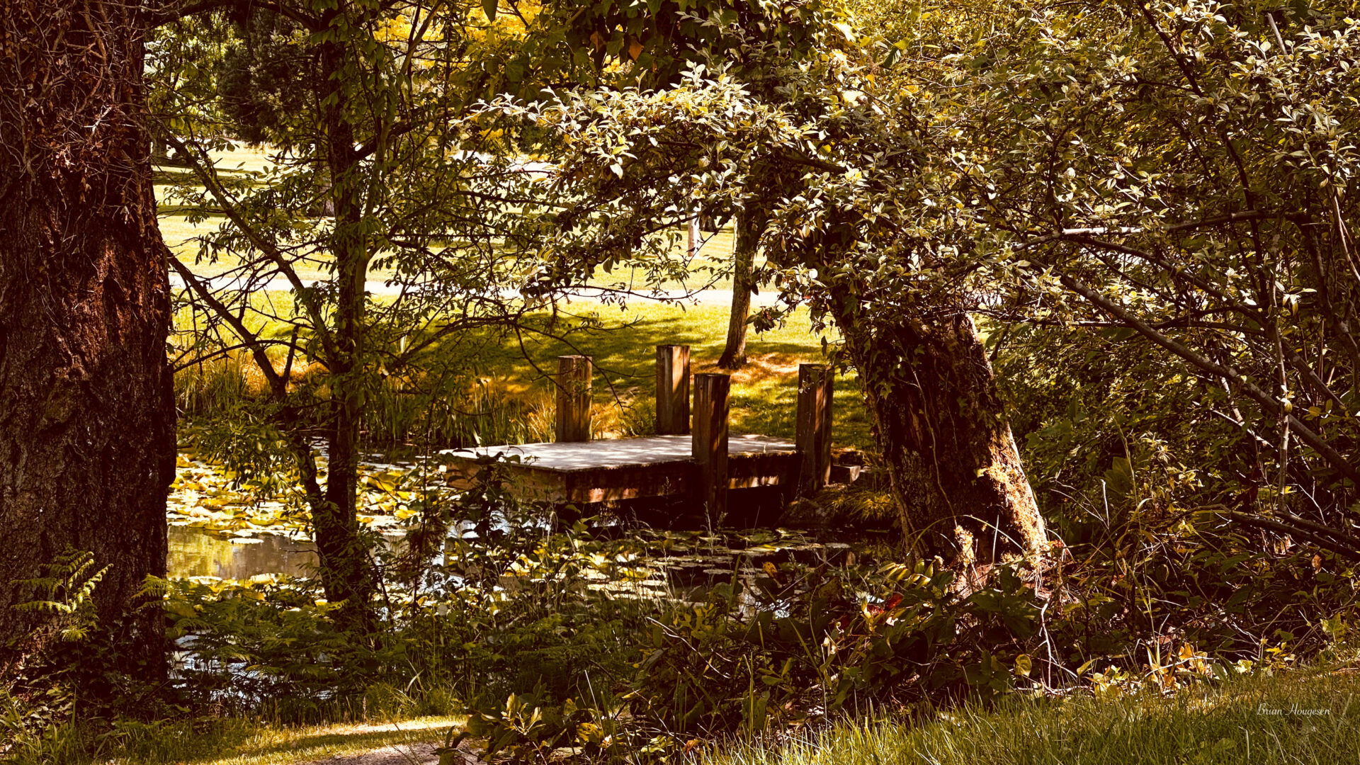 A boat is docked in the middle of a forest.