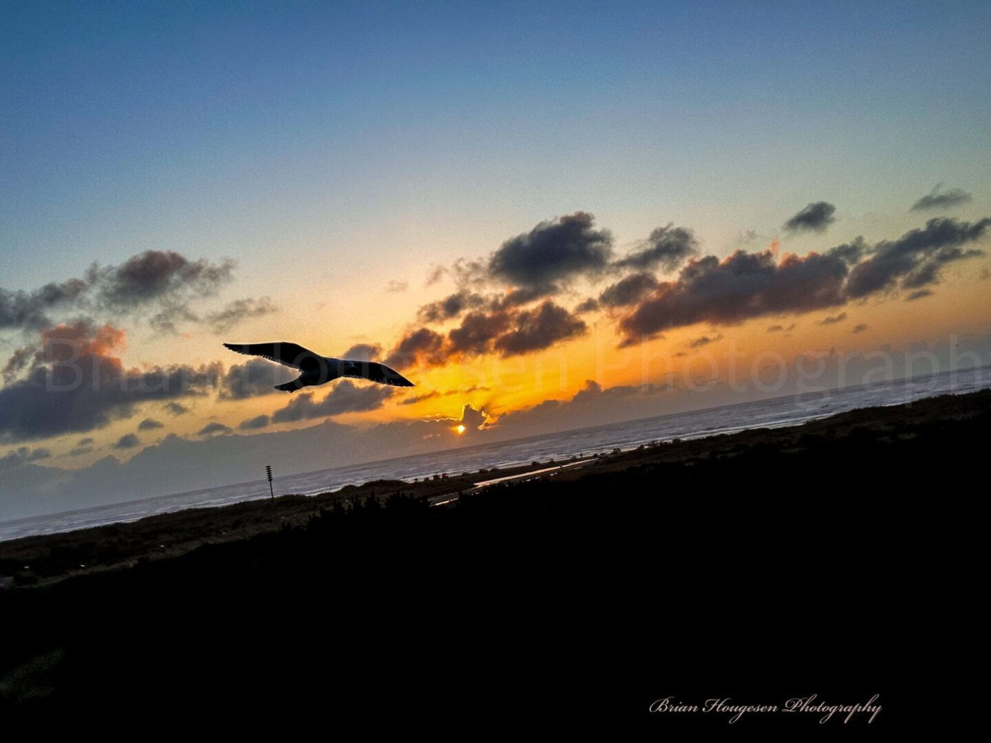 A bird flying over the ocean at sunset.