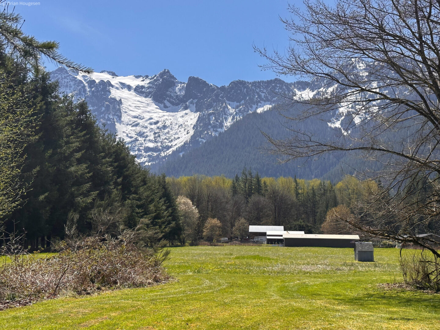 A bench in the middle of a field with snow capped mountains behind it.