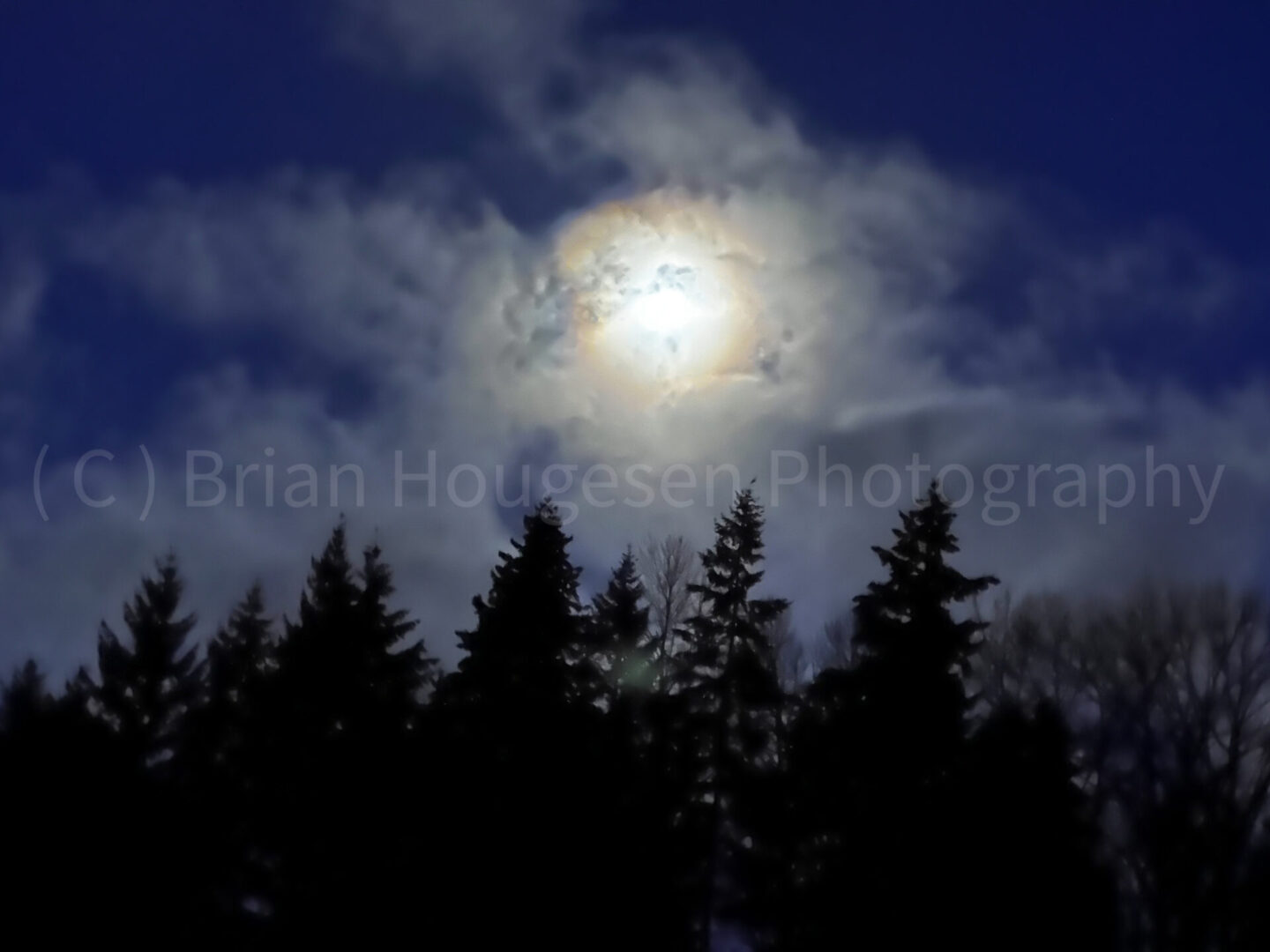 A full moon with clouds and trees in the foreground.