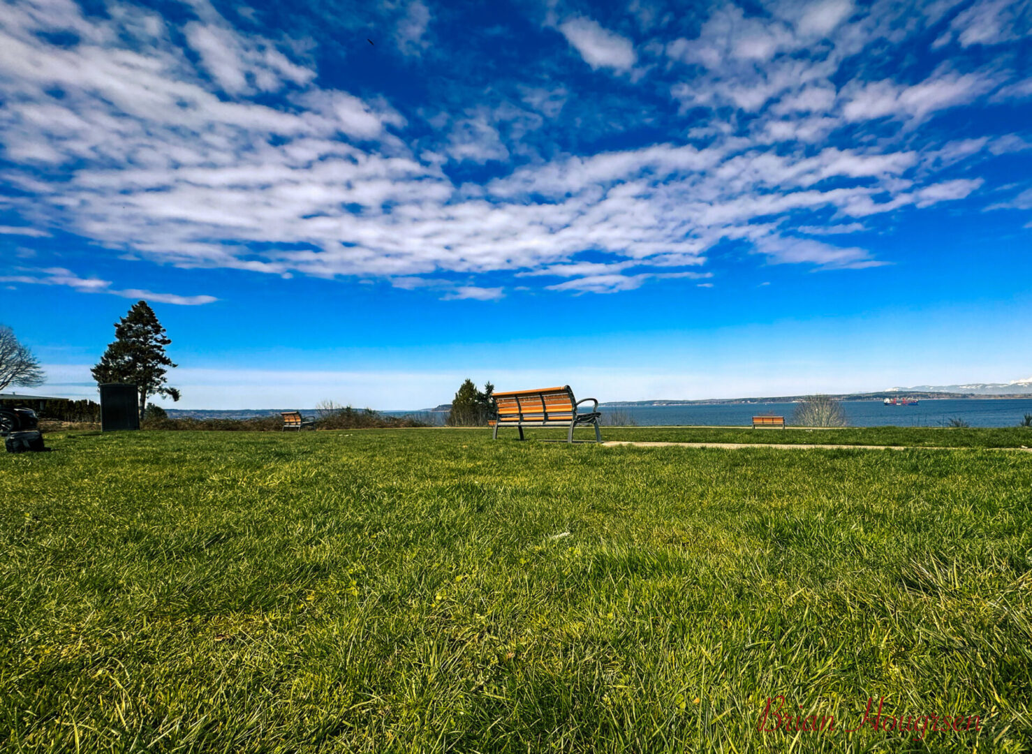 A green field with trees and clouds in the background.