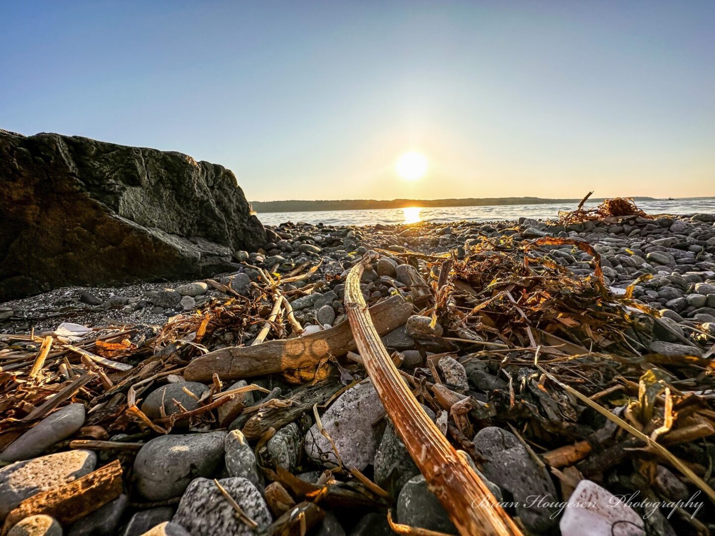 A beach with rocks and sticks on the ground