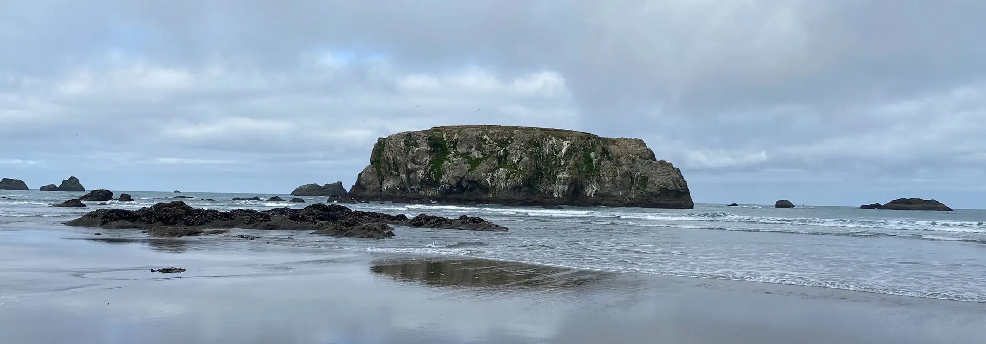 A body of water with rocks and trees in the background