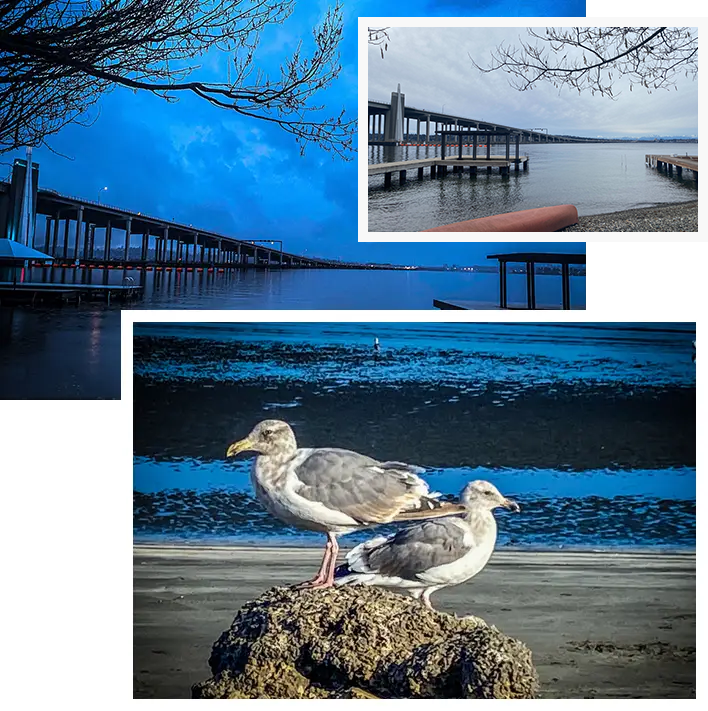 Two birds sitting on a rock near the water.